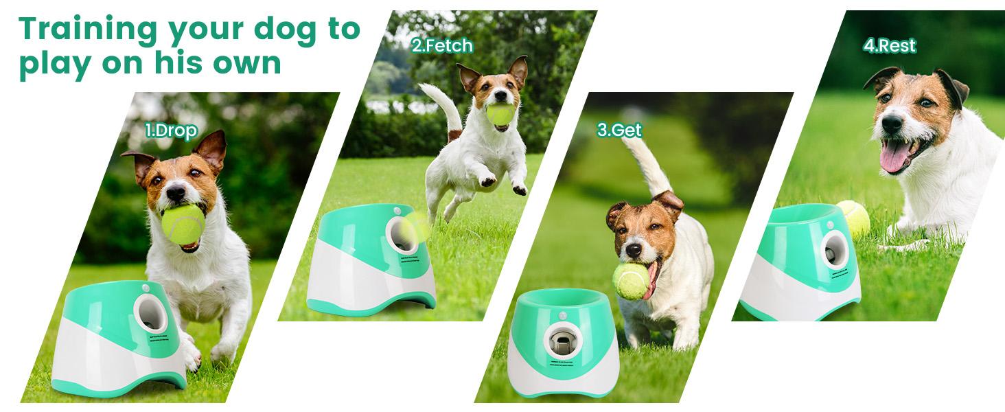Dog Ball Thrower Launcher, Automatic Ball Launcher with 6 Tennis Balls for Small Medium Dogs, 3 Adjustable Distance Settings, Rechargeable Dog Toy Mental Stimulation Training Game for Energetic Dogs