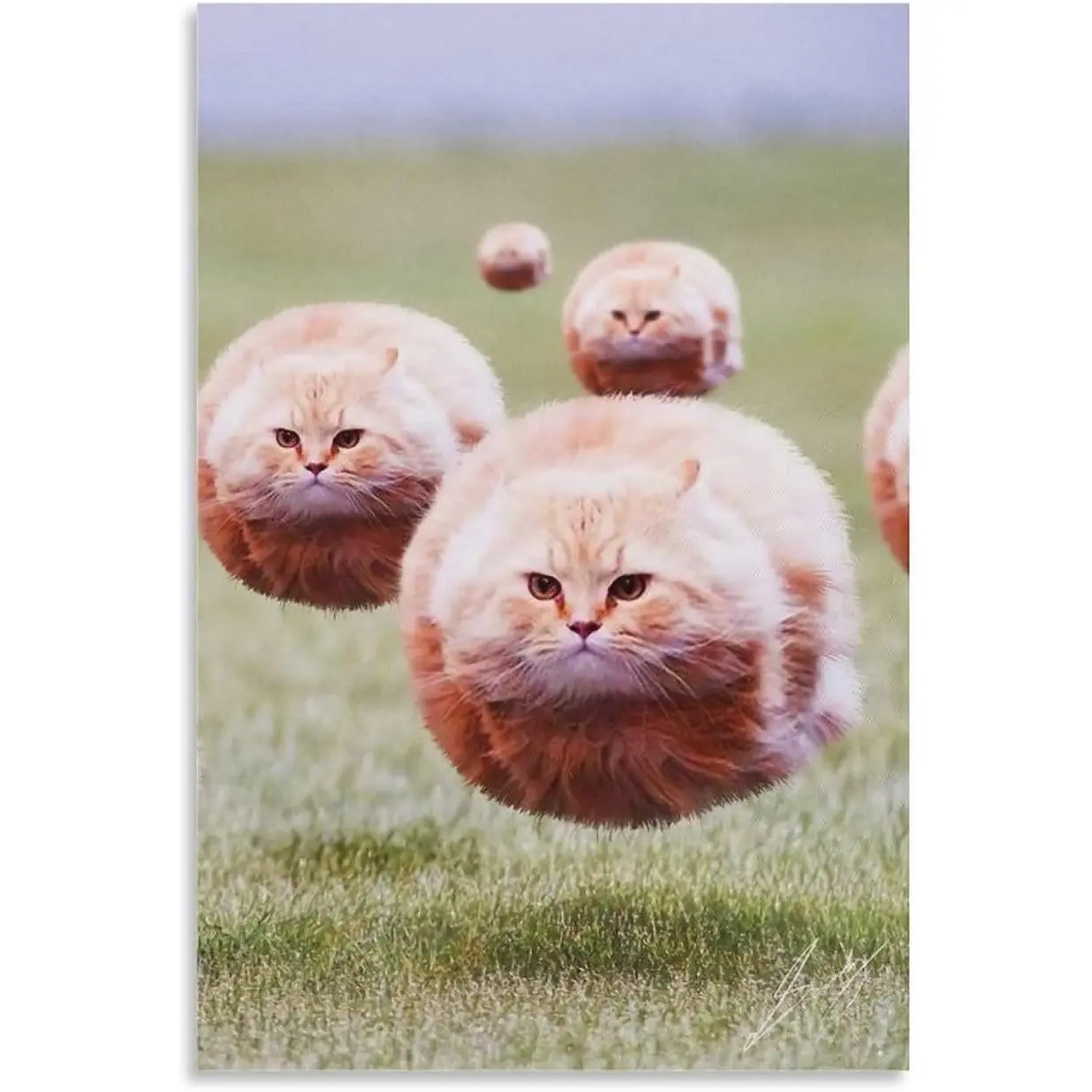 HAYOY Ball Cat Poster, Funny Cute Chubby Furry Animal Room Aesthetic, Cool Wall Decor, Home Canvas Print for College Dorm, Apartment, Teen Girl, Kids Room 12x18 Inch (Unframed)