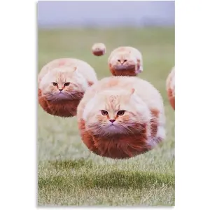 HAYOY Ball Cat Poster, Funny Cute Chubby Furry Animal Room Aesthetic, Cool Wall Decor, Home Canvas Print for College Dorm, Apartment, Teen Girl, Kids Room 12x18 Inch (Unframed)
