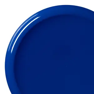 Solid Blue Flat Round Disposable Plastic Dinner Plates (10")