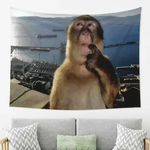 JIT 1 pc Coastal City Monkey Meme Tapestry 2D Flat Print Quirky Home Decor Bedroom Wall Art Decorative Fun Trendy Conversational