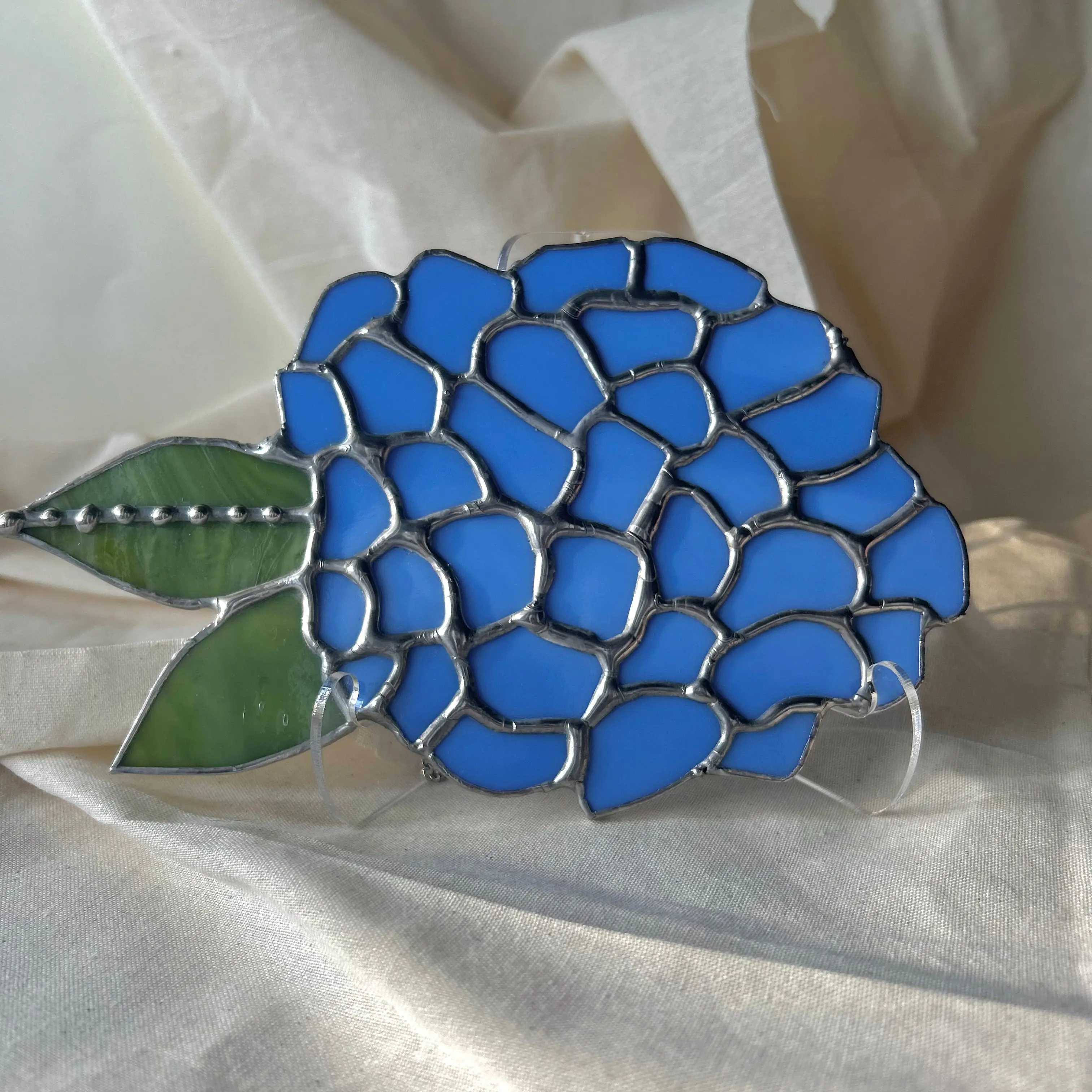 Hydrangea