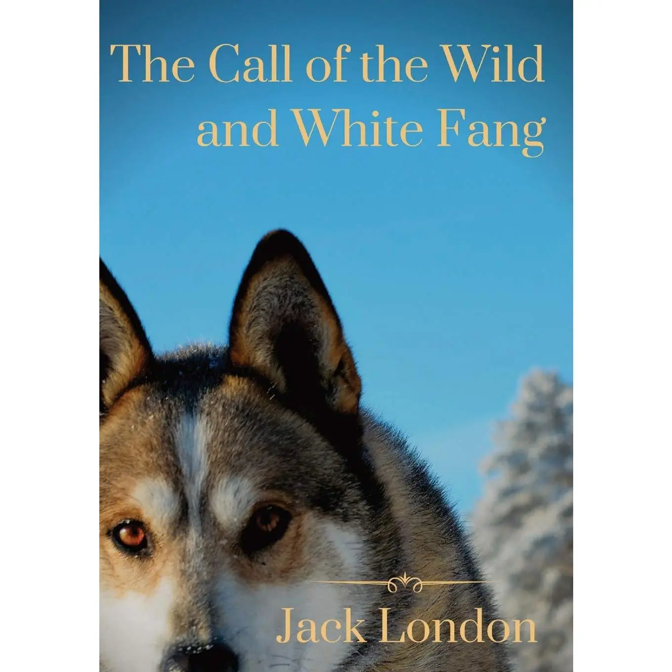 The Call of The Wild and White Fang: Two Jack London Dog Stories