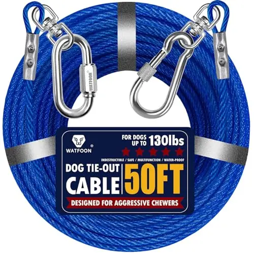 50ft Blue