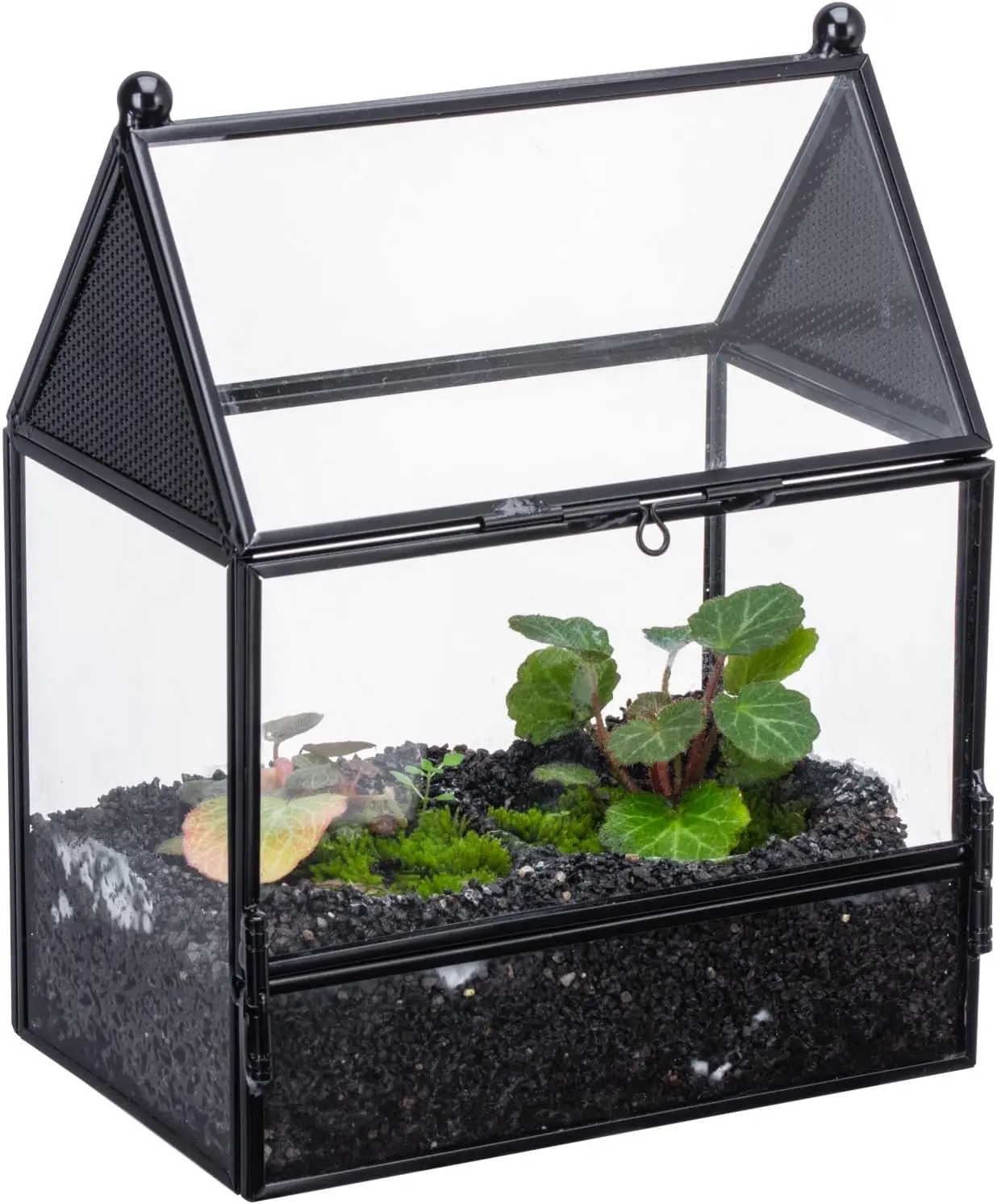 Small Glass Enclosure with Mesh for Jumping Spiders - ." x ." x " Micro House Shaped Small Spiders Vented Glass Terrarium, Home Decor Black (Glass Terrarium Only)