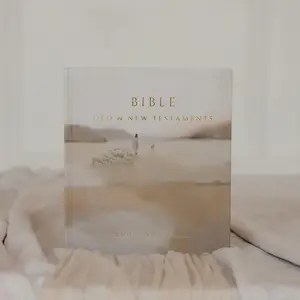 Bible - Jesus Leaves The 99