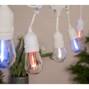 Martha Stewart 20' Patriotic Color Flip Bistro Lights
