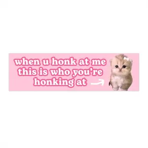 this is who you're honking at | Cat Meme Car Magnet | Funny Cute Pink, Coquette Bow Kitty, Car Accessories