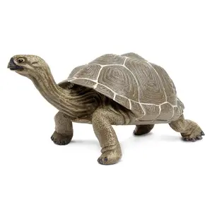 Tortoise Toy