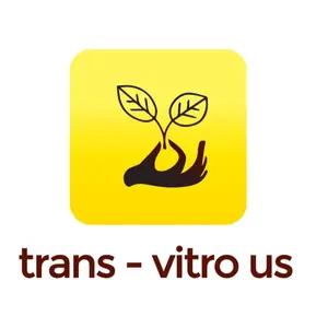 Vitro Shop