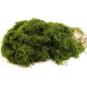 Dark Green Moss is Used for Handicrafts, Artificial Moss, Glass Vase Fillers, Wedding/Christmas/Spring Green Parties/Indoor Flower Pots/DIY Rainforest Models/Table Decoration (7.05 Ounces)