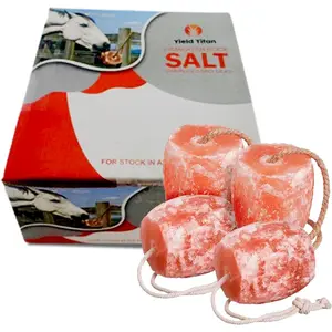 Pink Salt 18 LBs Salt Licks for Animals Licking Block for Horses, Cows, Deer and Other Livestock, Rope Included (4 Qty)