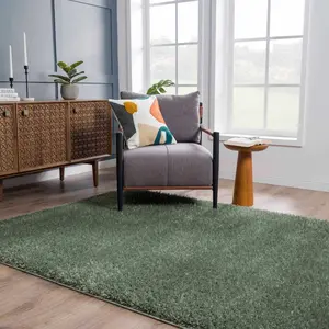 Faina Solid Green Shag Rug - Washable & Soft Texture