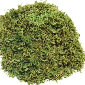 10OZ  Moss Artificial Moss for Potted  Greenery MossHome Decor Fairy Garden Crafts Wedding Decoration ( Green)