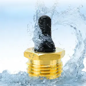 Heavy Duty RV Blow Out Plug, Brass Schrader Valve Adapter for Winterization, Compatible with Air Hose to Blow Out Water Lines, Antifreeze Tool for Campers, Motorhomes, and Travel Trailers