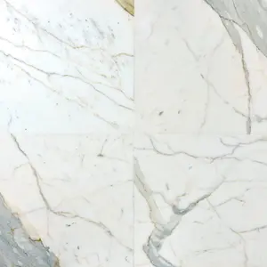 Calacatta Gold 24x24 Polished/Honed Marble Tile