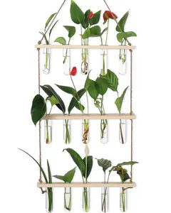 Propagation Stations,3 Tiered of Propagation Tubes with Wooden Stand,Mini Glass Test Tubes Vase,Plant Terrarium