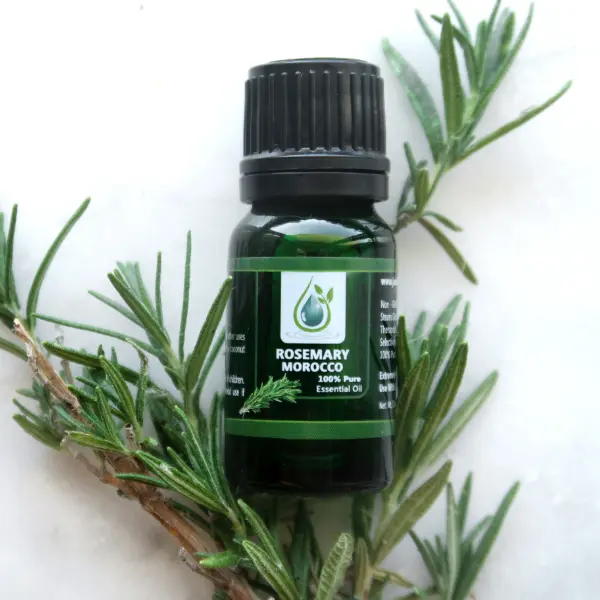 Rosemary Morocco 100% Pure Essential Oil - Steam Distilled - Refreshing and Uplifting - Adds freshness to natural hair and body recipes!