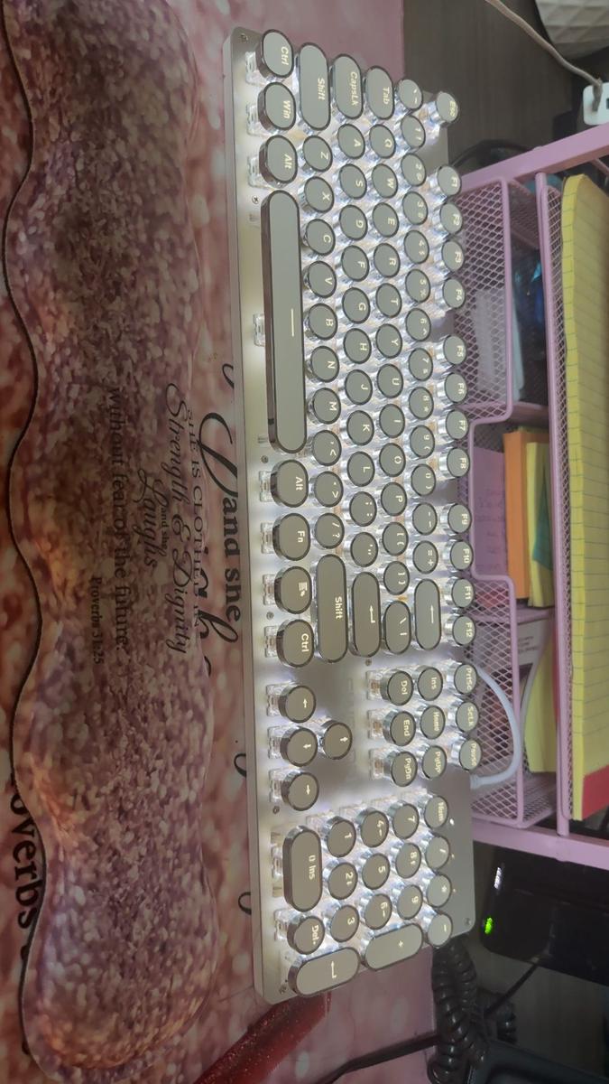 Item: Off White, Blue Switch