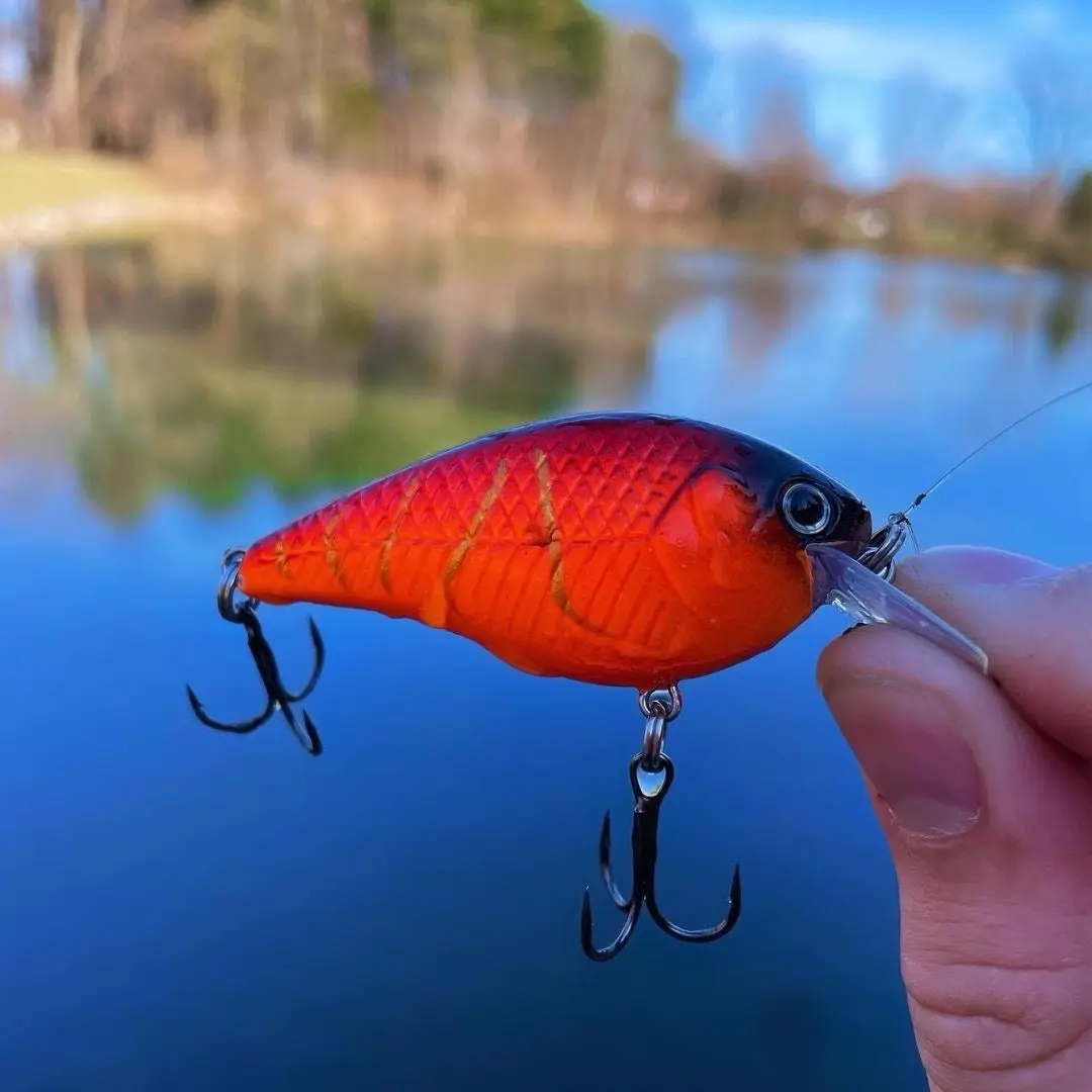 SB5 Squarebill Crankbait