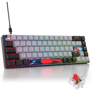 Grey and Black Mechanical Gaming Keyboard 65 Percent, Red  RGB Keyboard 65%, 68  Small Wired Key Board, PBT Keycaps Anti-Ghosting Mini Keyboards for /Office (68 Dolch)