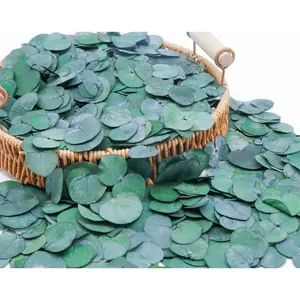 3200Preserved Real Eucalyptus Leaves Small,  Bulk Eucalyptus,  Wedding Leaves Confetti for Anniversaries, Birthday, Graduation, Bridal Showers, Party Decor