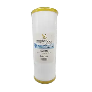Signature (Fastflow) Low Pressure Filter (5"dia x 13"L) 4520043