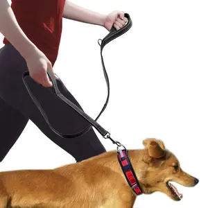 Double Handle Dog Leash, Heavy Duty Pet Pull Leash for Training Walking and Control