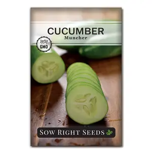 Muncher Cucumber Seeds