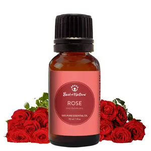 Rose Absolute Essential Oil - 100% Pure