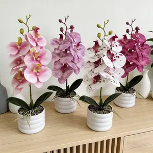 4 Colors Artificial Phalaenopsis Orchid Potted Set, 4Pcs Faux Butterfly Orchid Plants with Pot, Realistic Fake Flower Bonsai for Home Office Desk Decor, No-Water Low Maintenance Simulation Floral Arrangement