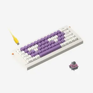 KBDcraft Lilith 60% 5.5° Ergonomic Keyboard with Keycap Emoji, Lego-Compatible Case, Gasket Mount, Wired, RGB, Hot-Swappable, Linear Switch, QMK, Vial for Win/Mac, Full Kit, White
