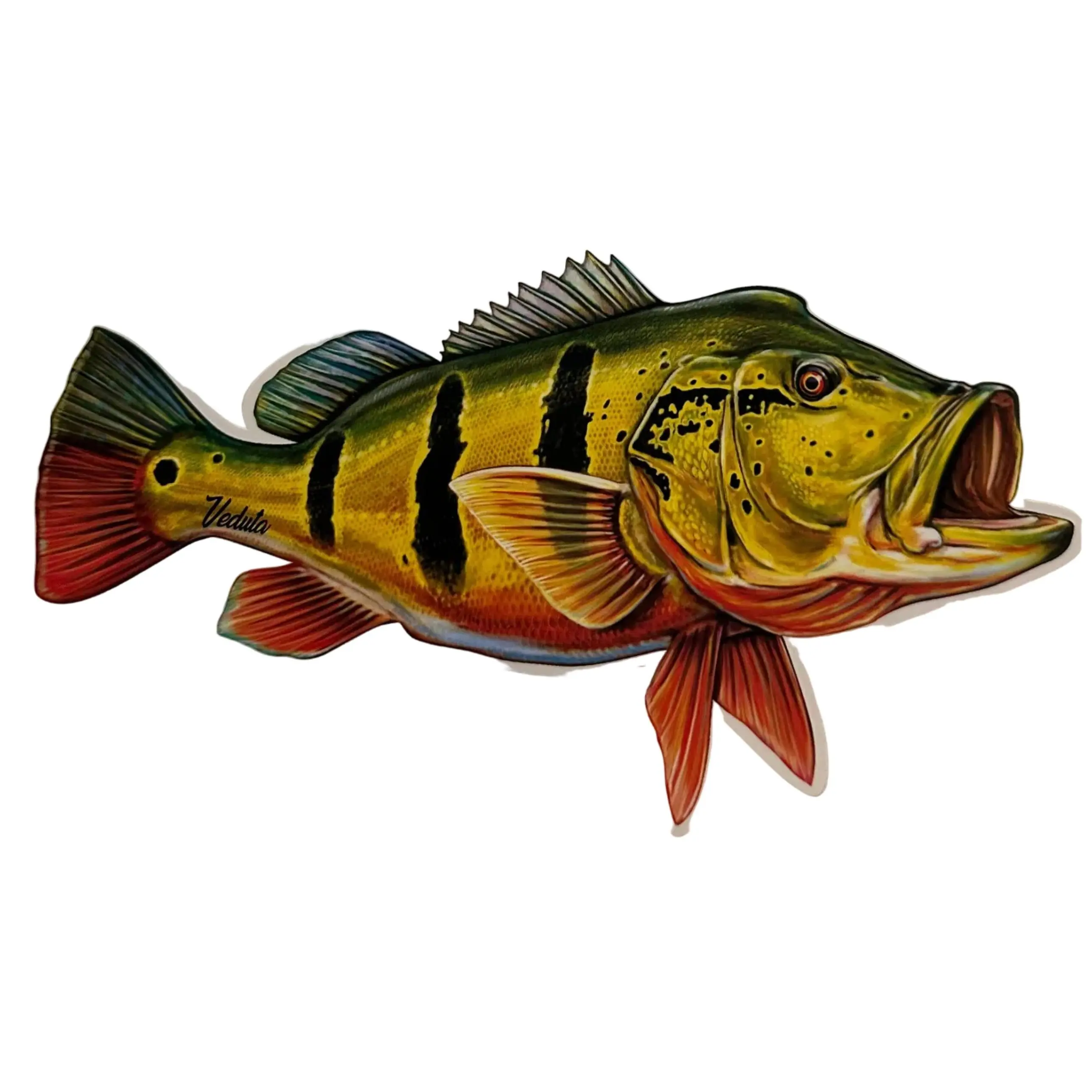 Large Freshwater Peacock Bass Vinyl Film Fishing Sticker for Boats, Coolers, Outdoor Gear Accessories