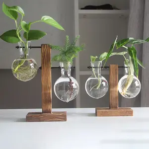 Hydroponic Plant Vases Vintage Flower Pot Transparent Vase Terrarium Wooden Frame Glass Tabletop Plants Home Vasevase Decor