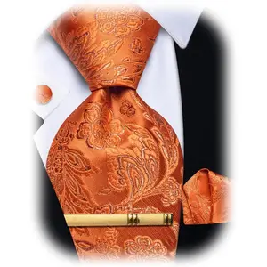 Silk Ties for Men Paisley Floral Striped Necktie and Pocket Square Cufflinks Tie Clip Set 4PC