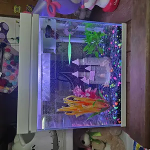 Craftsboys Aquarium Starter Kits, Nano Glass Fish Tank with Led Light and Complete Filter System