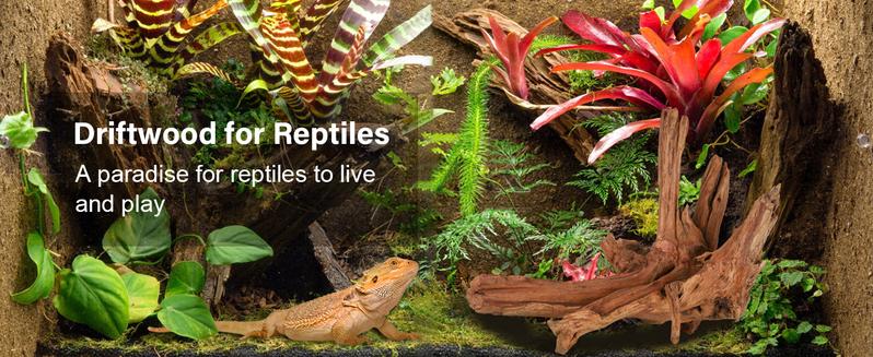 Driftwood for Aquarium Natural Aquarium Wood for Aquascaping Fish Tank Decorations Reptile Tank Decor