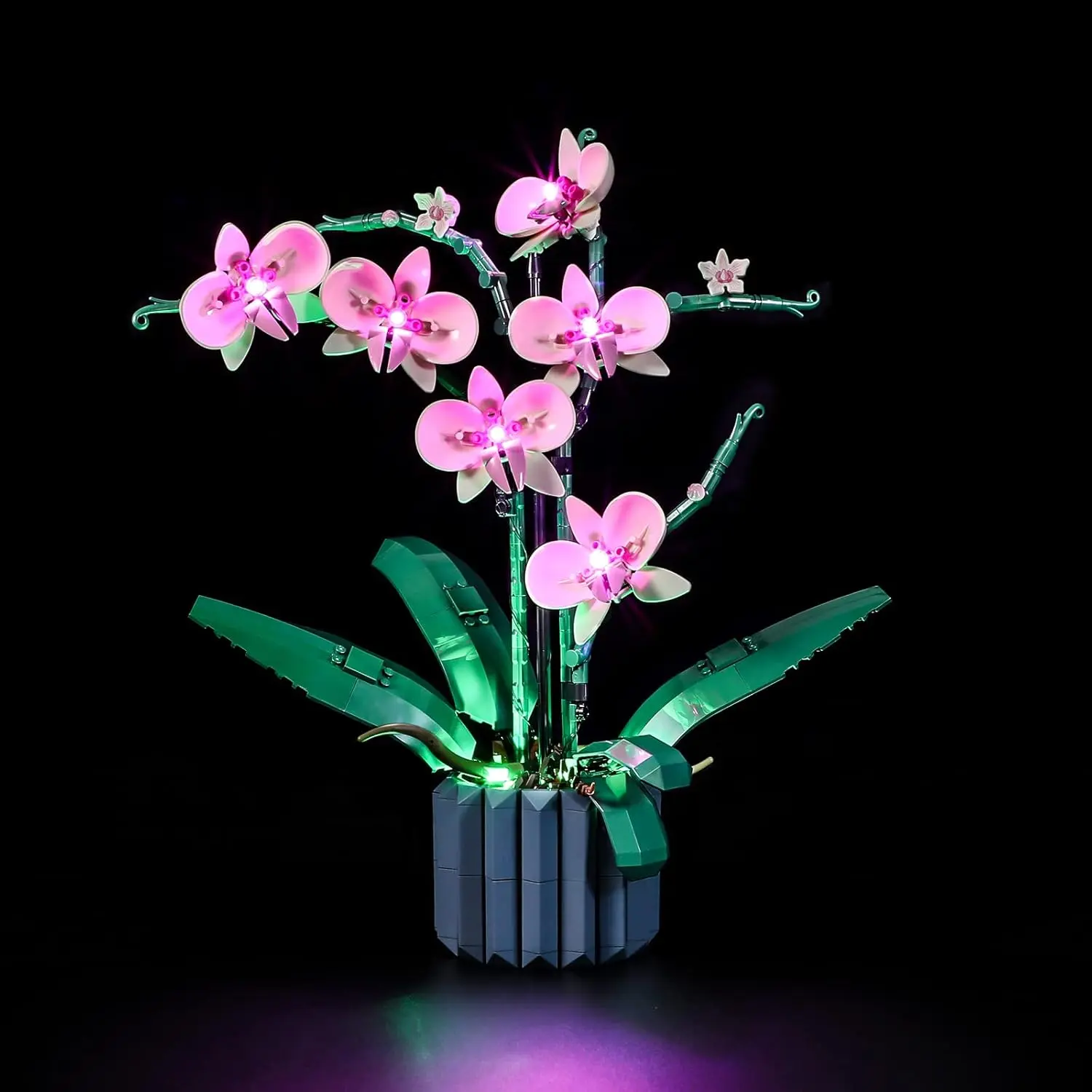 Led Light for Lego-10311 Orchid - Easy Install, Hidden Wiring, Home Decor & Gift-Ready (Model Not Included)