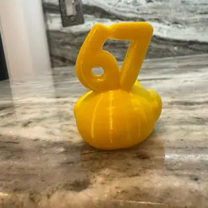 67 3d printed duck