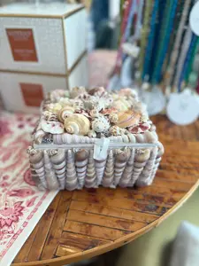 Shell Box- Turitella with Shell Cluster Top- 6" x 5"