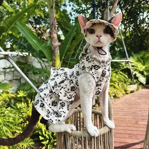 Devon Rex Cat Dress, Hairless Cat, Spring Autumn Print Princess Style, Butterfly Knot Skirt, Pet Clothing for Cats