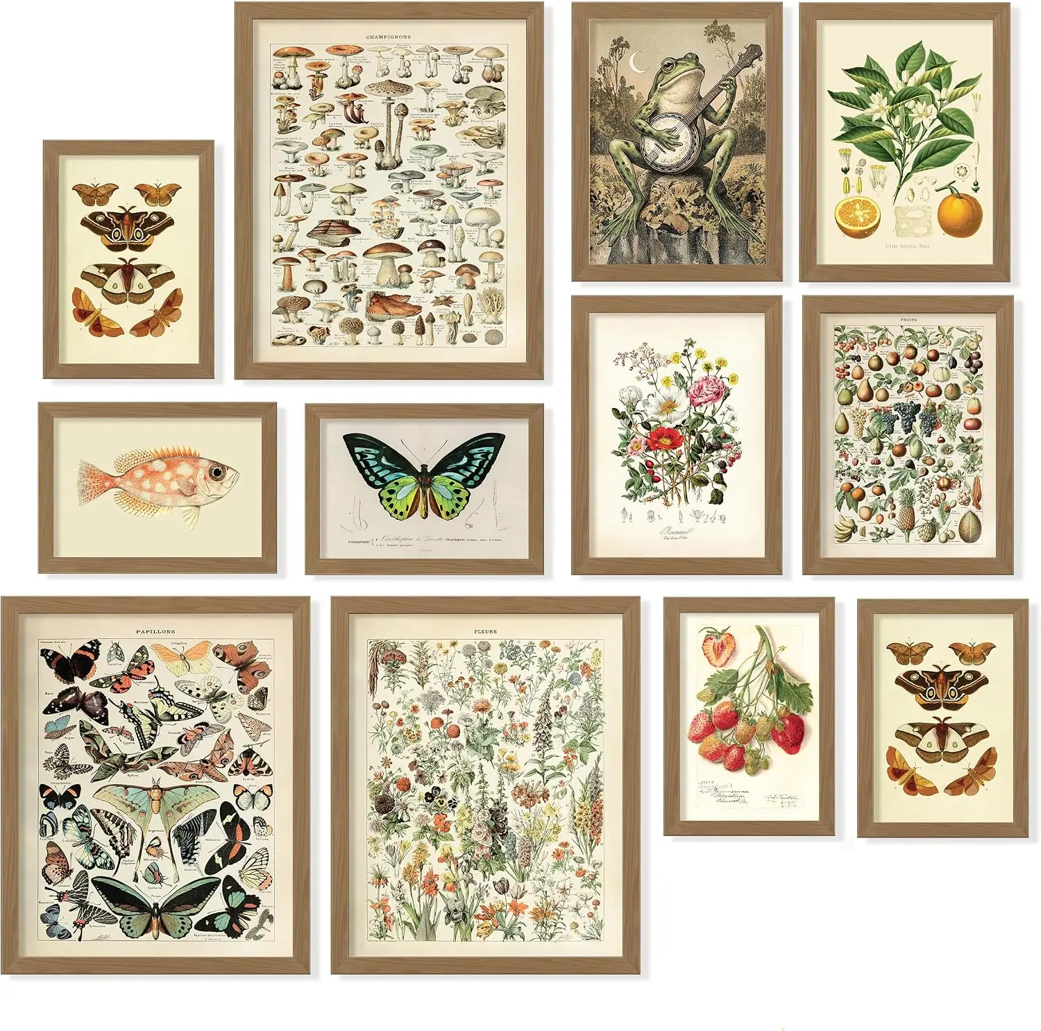 97 Decor Cottagecore Wall Art Set - 12 Pcs Vintage Botanical Unframed Prints, 8x10, 5x7, 4x6 Sizes, for Bedroom, Dorm Home Decor