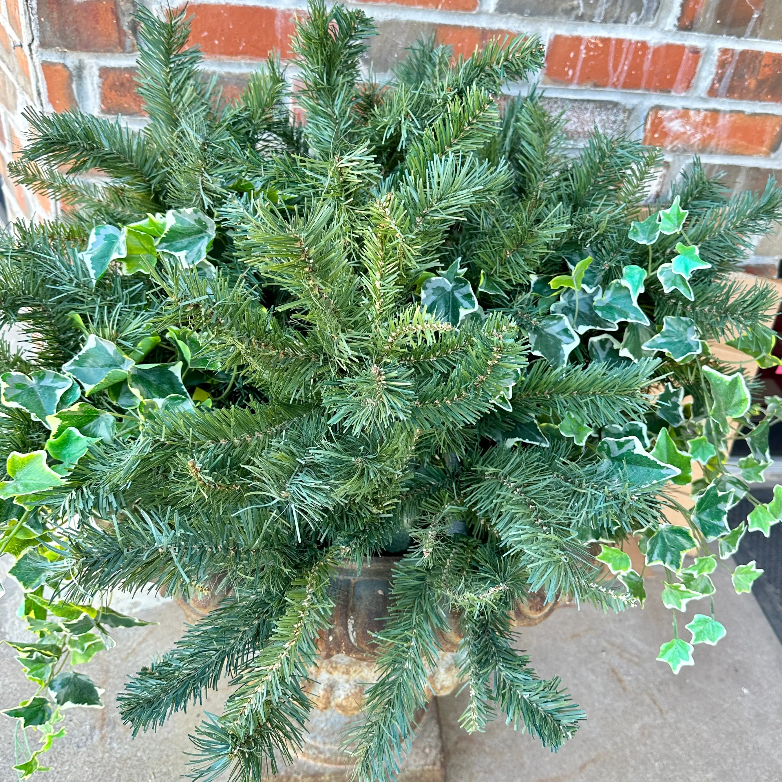 Princess Pine Urn Filler