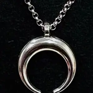 Single Crescent Moon Necklace in Stainless Steel Amethyst or Rose Quartz Elegant Design Chain Included