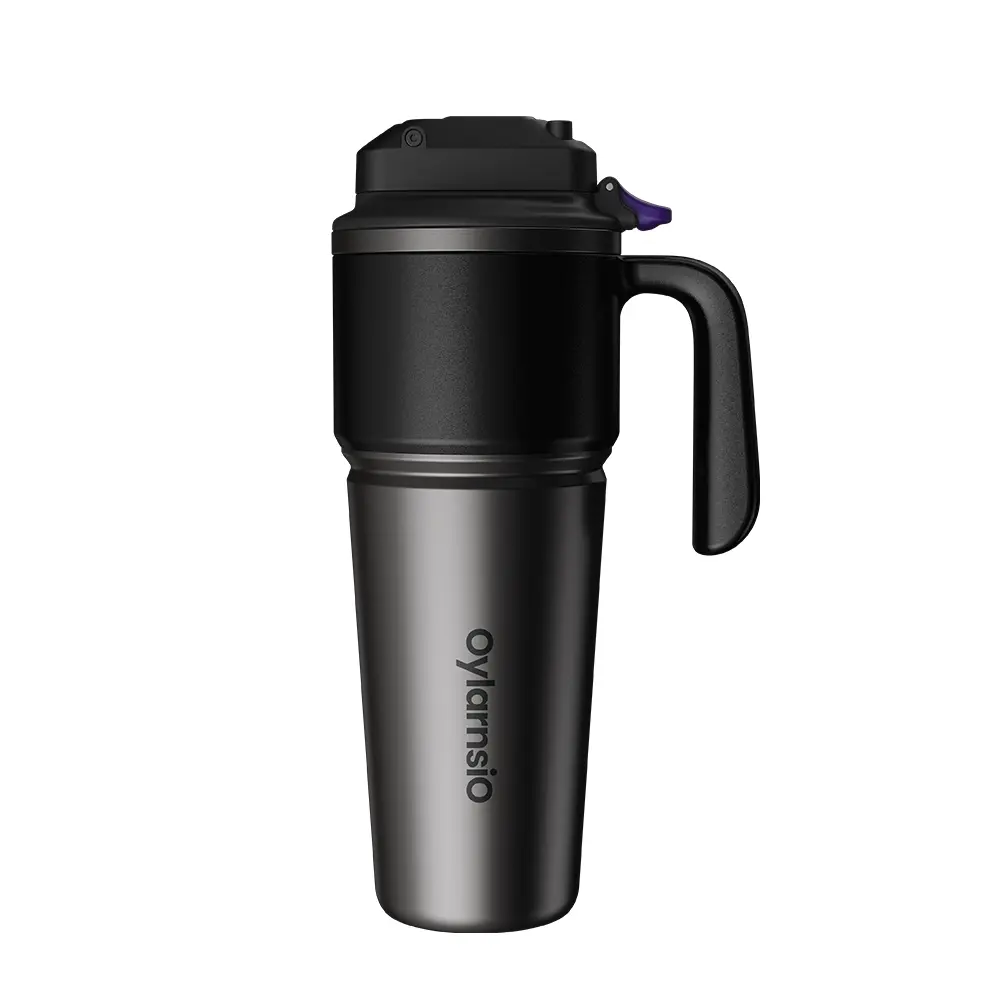 Tumbler Insulated Stainless Steel Water Bottle with Built-in Straw and Side Handle, For Travel, Work, School, and Sports, 30oz, BPA Free, Leak Proof