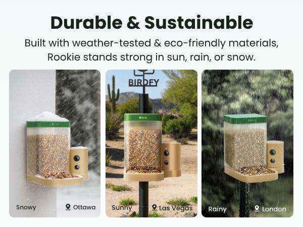 Birdfy Smart Bird Feeder with Camera for Rookie, Camera Bird Feeder Dual Night Vision, AI Recognition IP66 Waterproof for BirdLovers