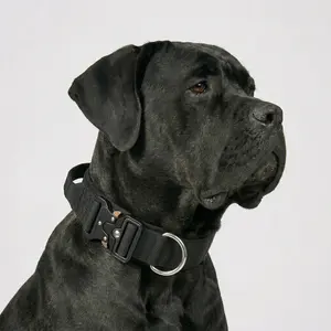 Extra Strong Classic Black Pet Collar with Quick Release Metal Buckle, Heavy Duty Thick Padded Walking Collar with Control Handle for Cane Corso, Mastiff and Giant Dogs