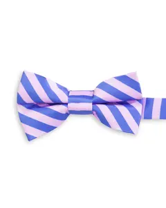 Daybreak Pink Blue Stripe Pre-tied Child Tween Bowtie