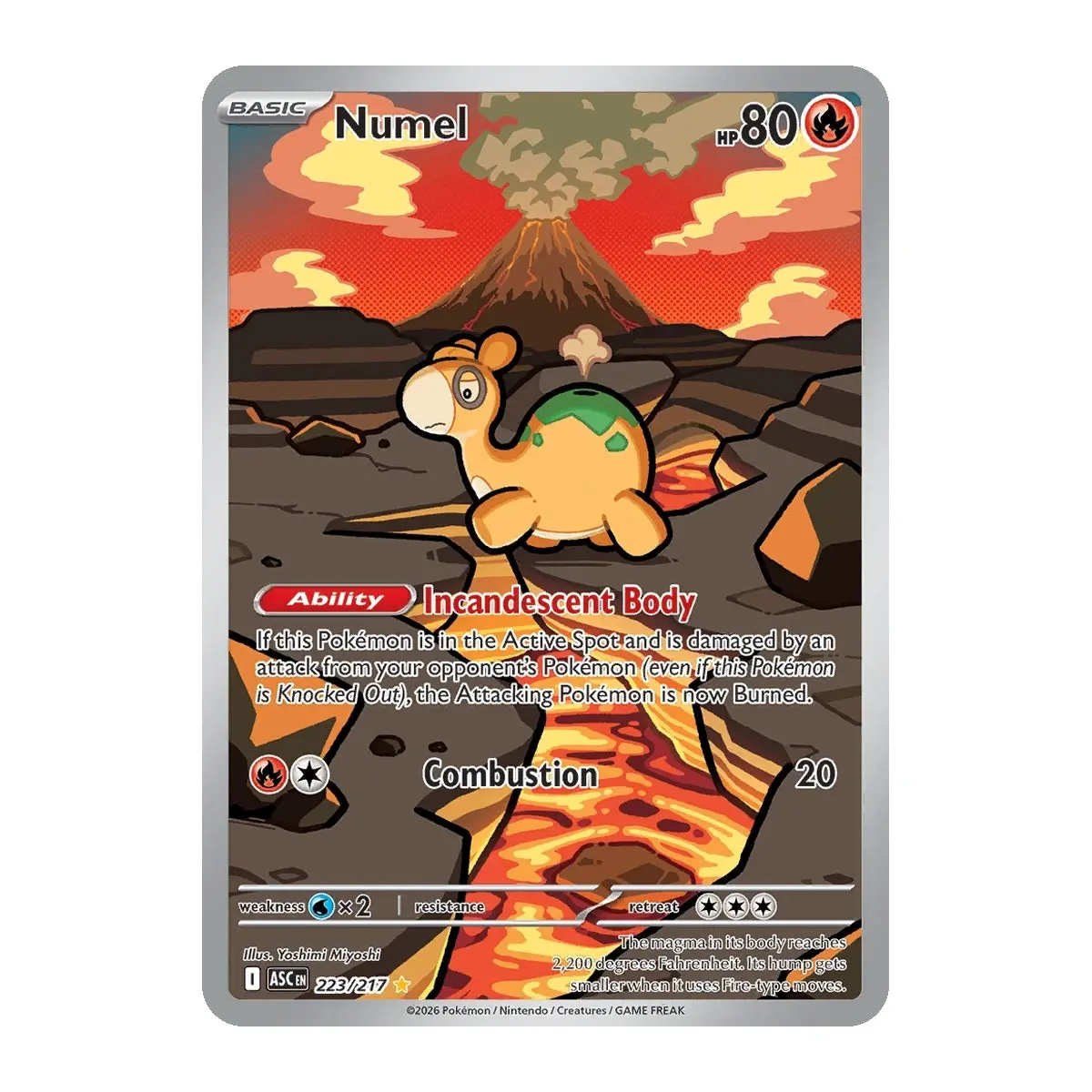 Numel - 223/217