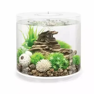 biOrb TUBE 15 Aquarium with Standard Light  4 gallon